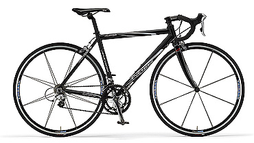 kiyo-miyazawa「アンカーラインナップ」