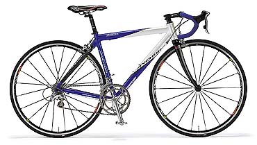 kiyo-miyazawa「アンカーラインナップ」