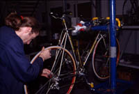 Kiyo Product(Race)